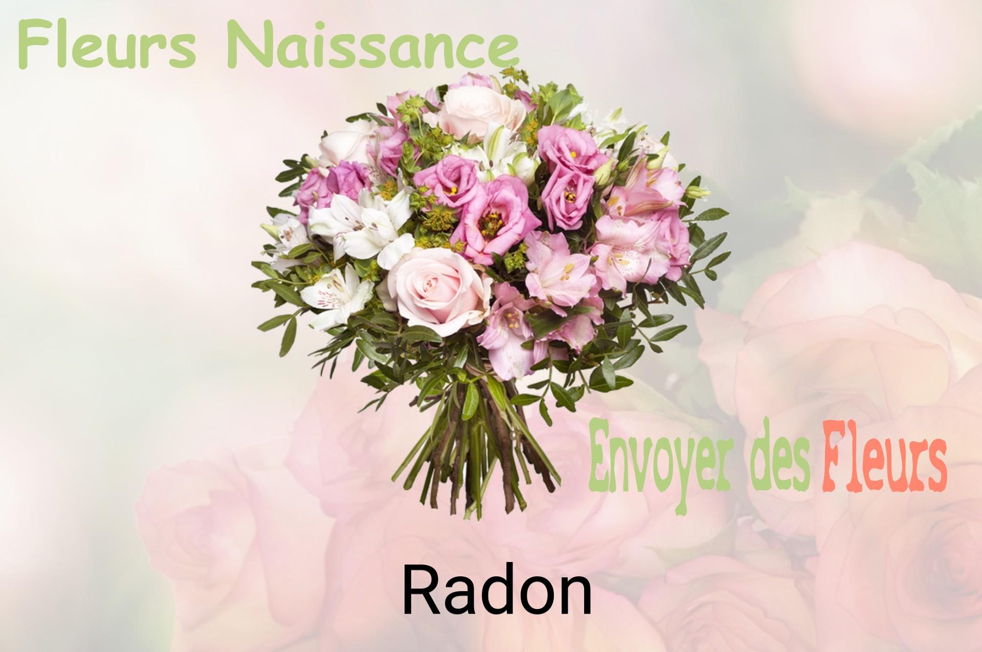 Bouquet de fleurs de naissance livré à Radon