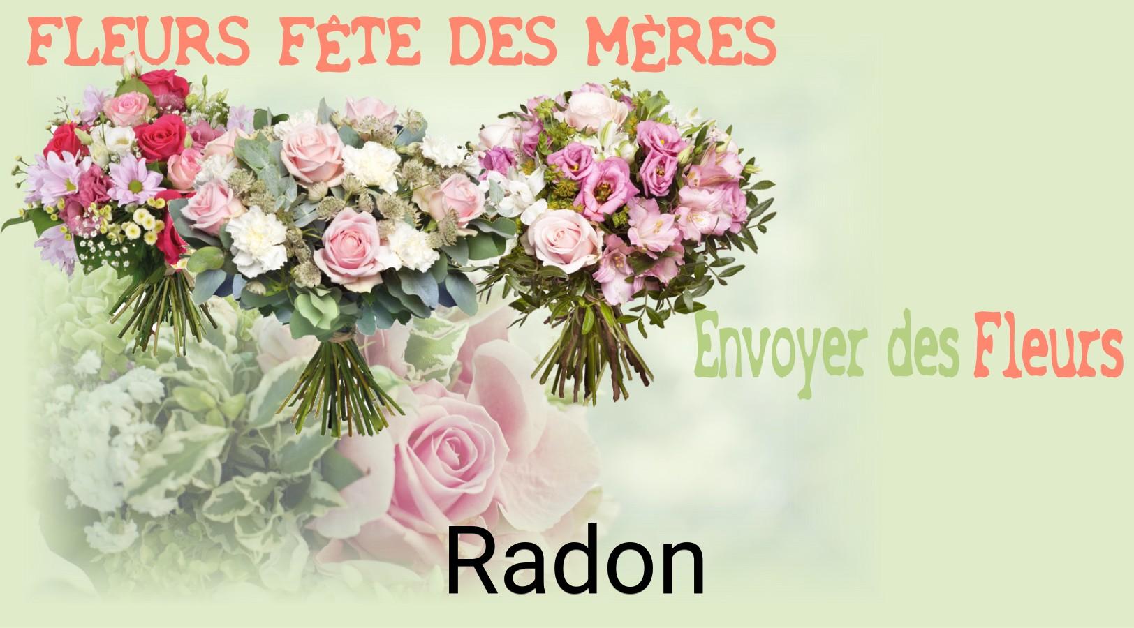 Bouquet de Fête des Mères livré à Radon